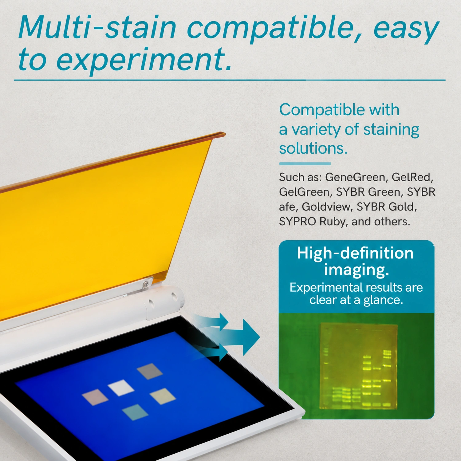 Multi-stain compatible blue light transilluminator with high-definition imaging for GeneGreen GelRed SYBR Green and SYBR Safe.webp