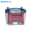 Horizontal, Vertical & Transfer Electrophoresis System – DNA/Protein Separation & Western Blot