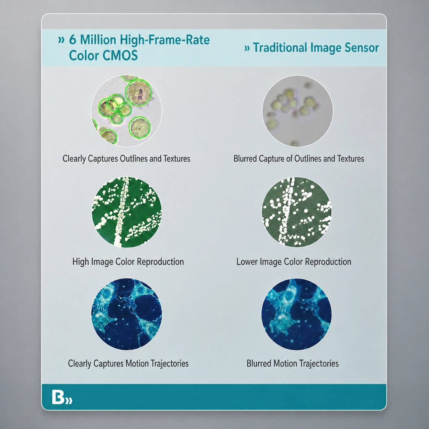 6-megapixel color CMOS high-definition imaging comparison on BKMAMLAB cell counter.webp