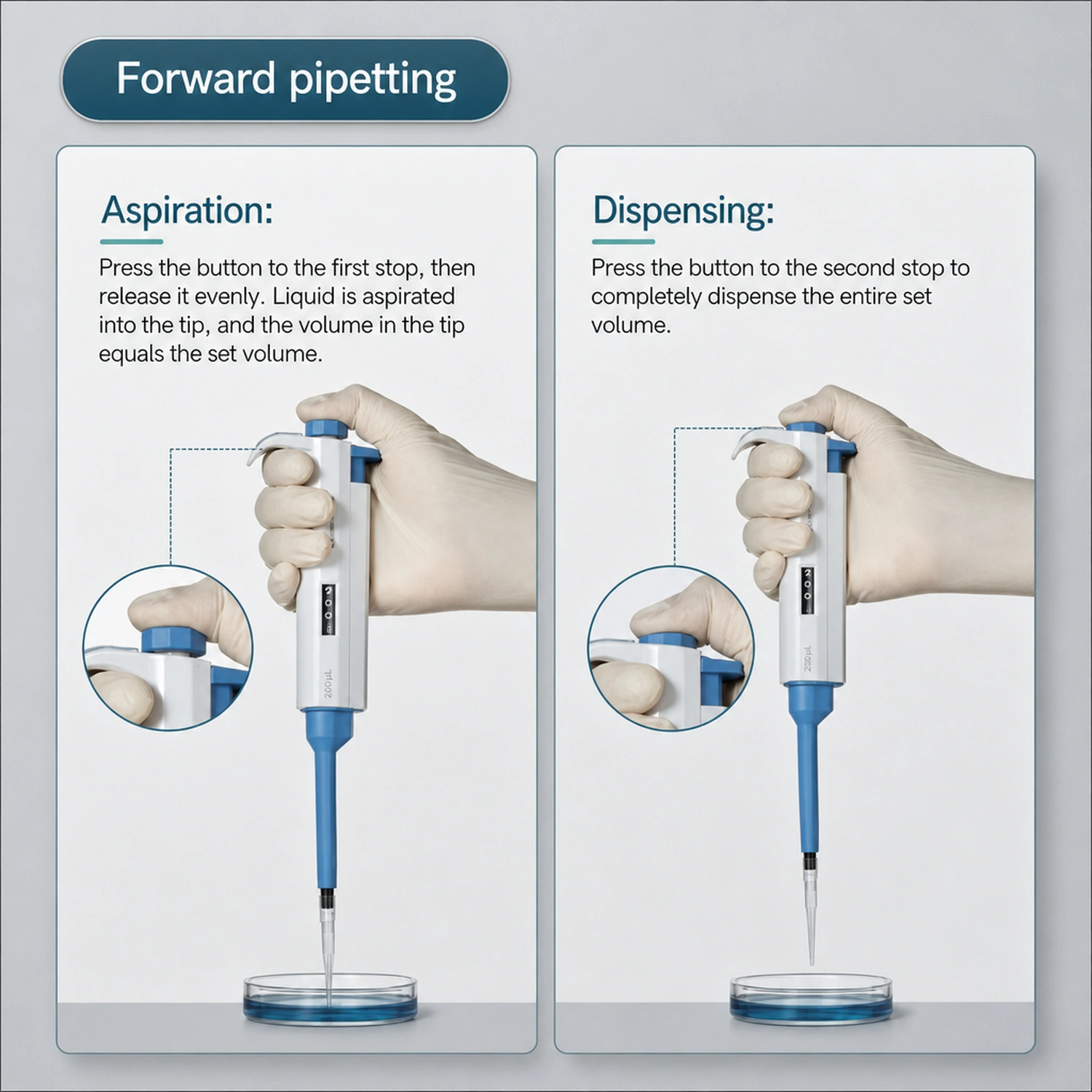 Forward pipetting technique step-by-step guide for Labshark micropipette.webp