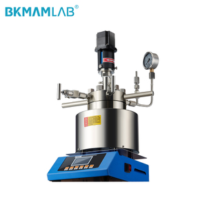 Stainless Steel Laboratory Reactor