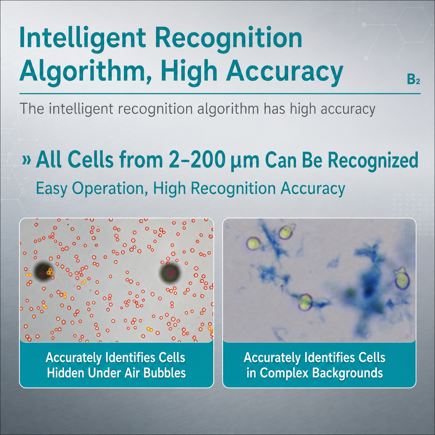 Deep learning algorithm for accurate cell recognition from 2 to 200&mu;m on BKMAMLAB cell counter.png