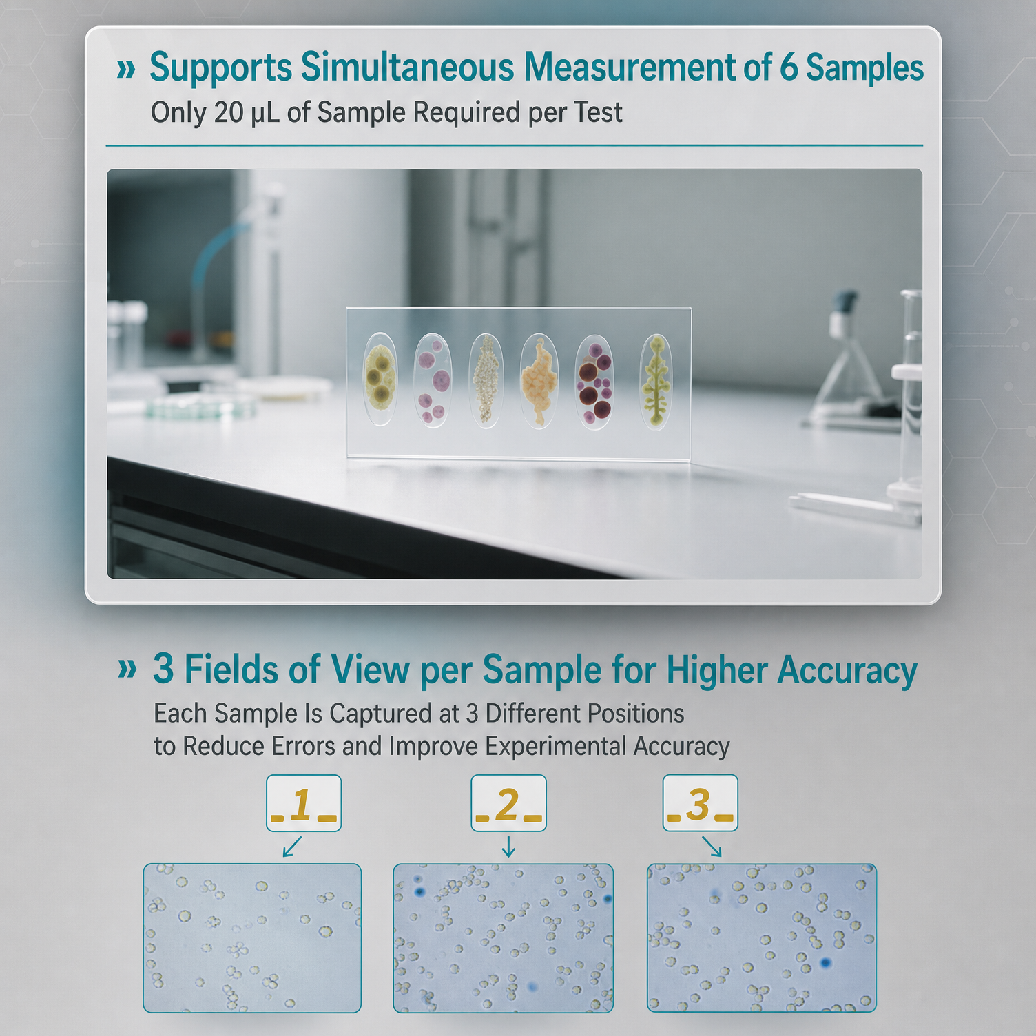 6-sample simultaneous measurement with 3 fields of view on BKMAMLAB cell counting machine.png